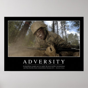 Adversity: Inspirational Quote Poster