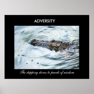 Adversity Poster