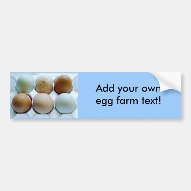 Advertise your Free Range Egg Farm! Bumper Sticker (Front)