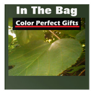 Advertisement Giant Mulberry Leaf Acrylic Print