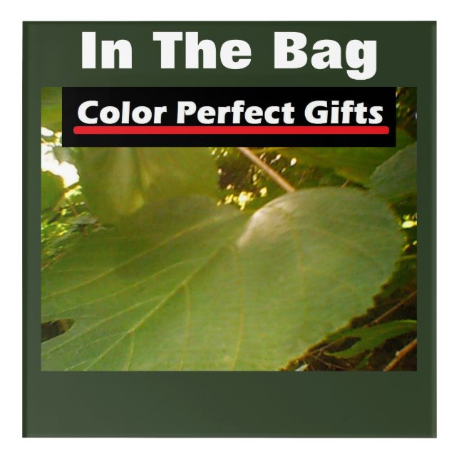 Advertisement Giant Mulberry Leaf Acrylic Print (Front)