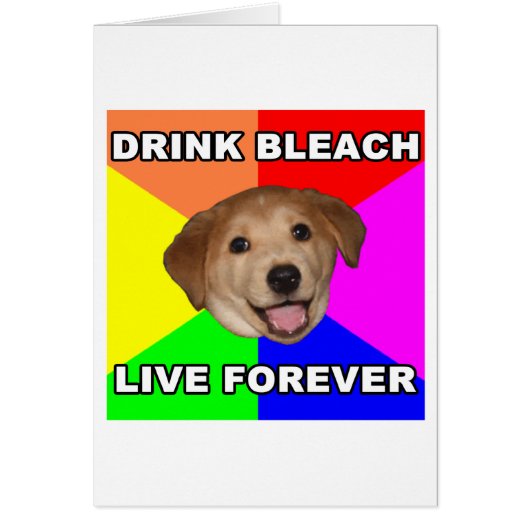 Advice Dog Cards (Front)
