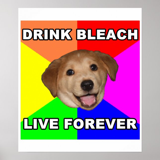 Advice Dog Poster (Front)