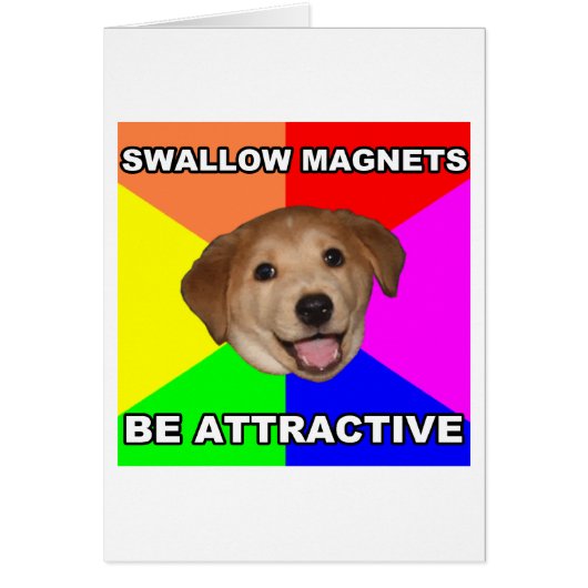 Advice Dog Swallow Magnets Cards (Front)