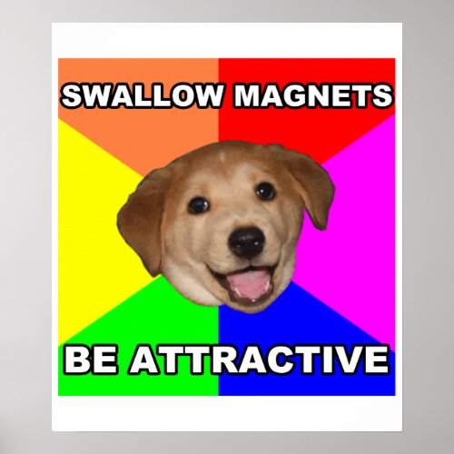 Advice Dog Swallow Magnets Poster