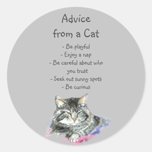 Advice from a Cat Fun Animal Humor Classic Round Sticker (Front)