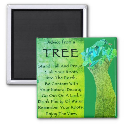Advice from a tree magnet