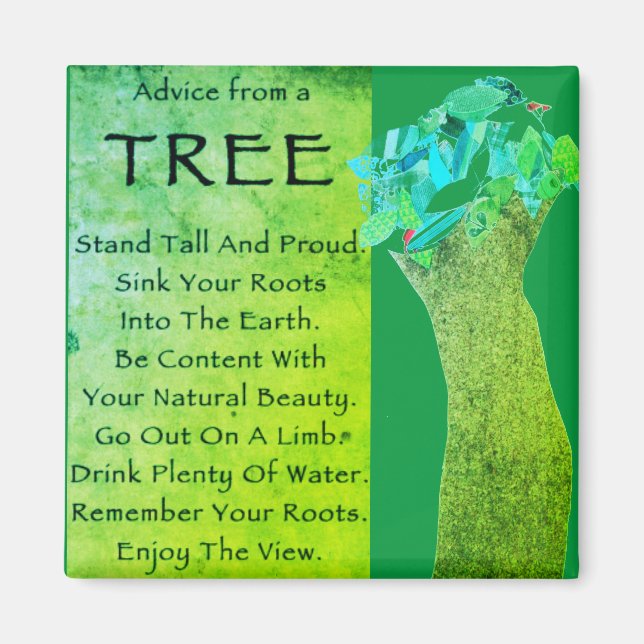 Advice from a tree magnet (Front)