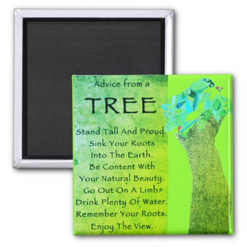 Advice from a tree magnet