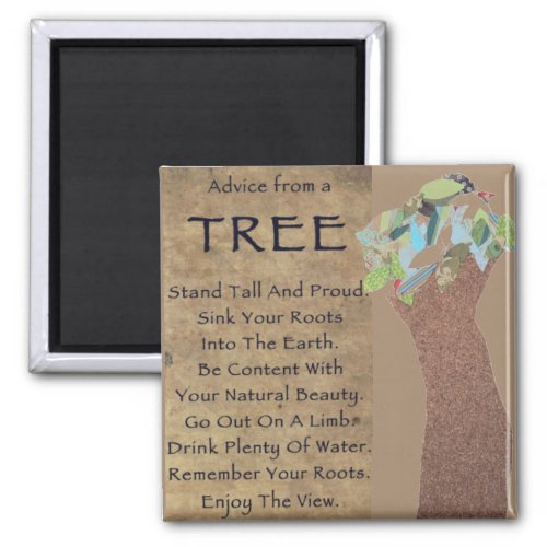 Advice from a tree magnet