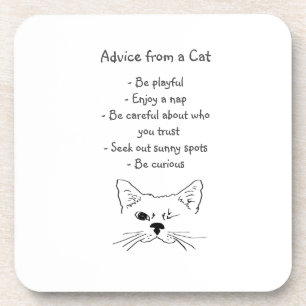 Advice from Winking Cat Fun Animal Humor Beverage Coaster