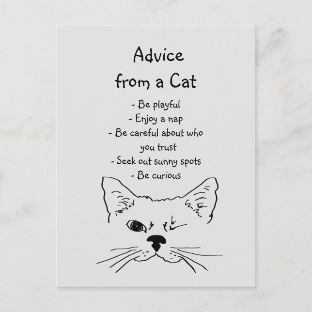 Advice from Winking Cat Fun Animal Humor Postcard (Front)
