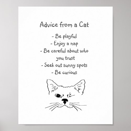 Advice from Winking Cat Fun Animal Humor Poster
