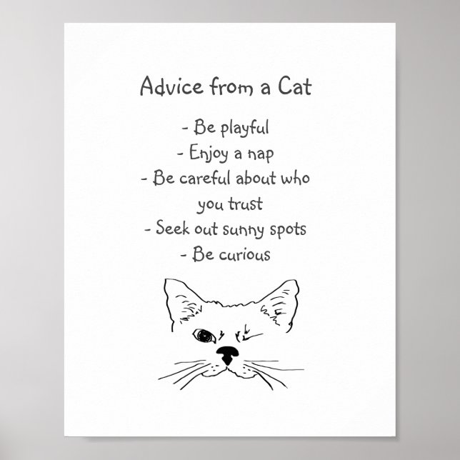 Advice from Winking Cat Fun Animal Humor Poster (Front)