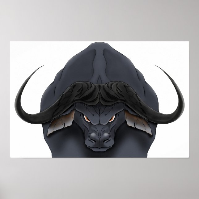 AE Cape Bull Poster (Front)