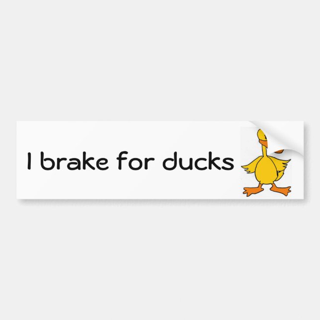 AE- I brake for ducks bumper sticker (Front)