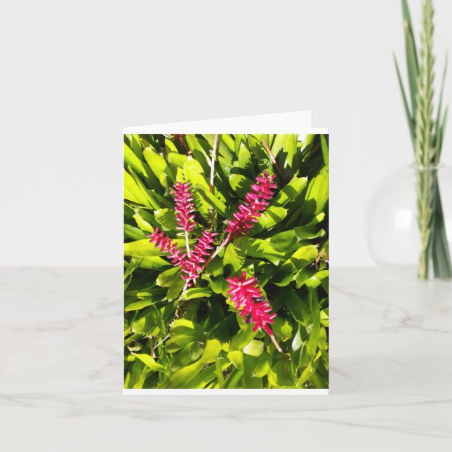 Aechmea Bromeliad Photo Folded Note Card (Front)