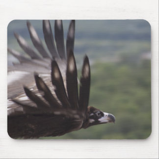 Aegypius monachus mouse pad