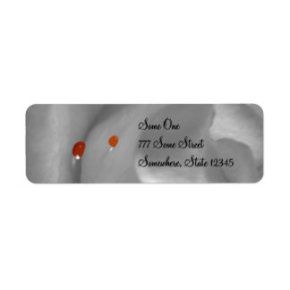 Aeolian Watercolor Address Labels
