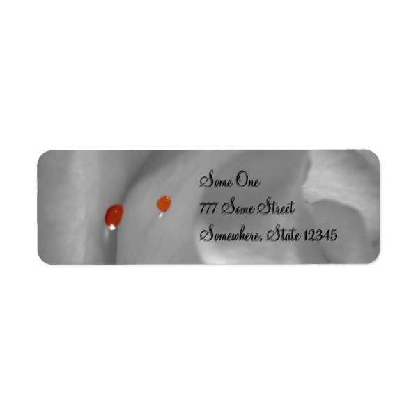 Aeolian Watercolor Address Labels