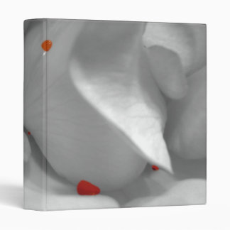 Aeolian Watercolor Binder