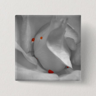 Aeolian Watercolor Button