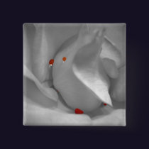 Aeolian Watercolor Button