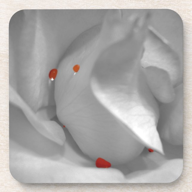 Aeolian Watercolor Cork Coaster (Front)