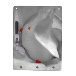 Aeolian Watercolor Dry Erase Board