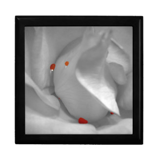 Aeolian Watercolor Gift Box