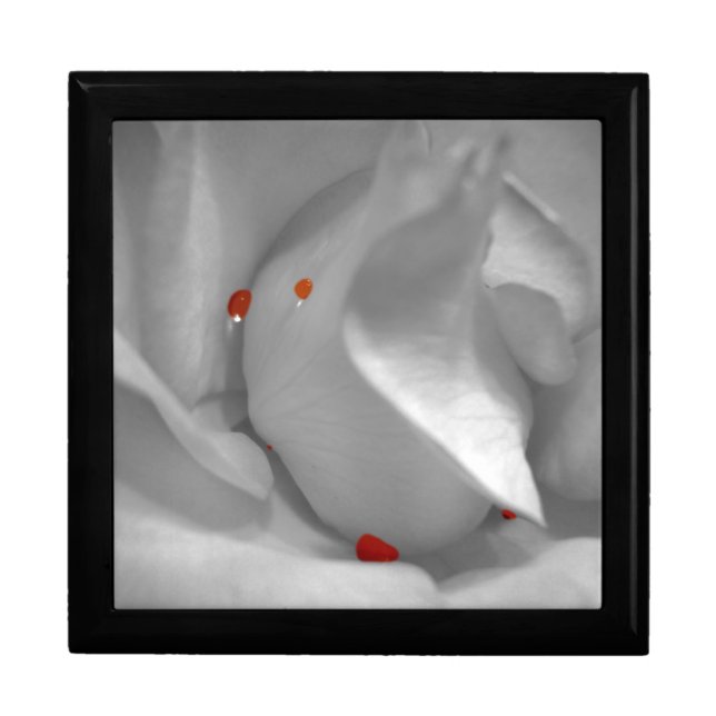 Aeolian Watercolor Gift Box (Front)