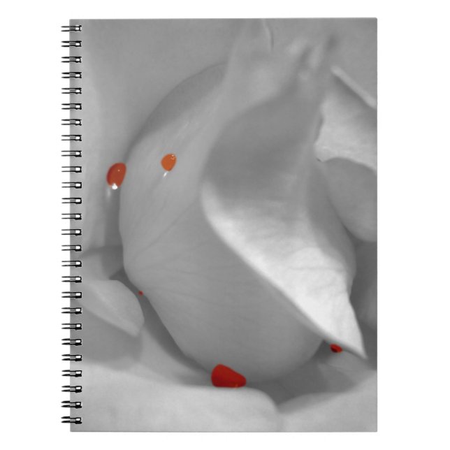 Aeolian Watercolor Notebook (Front)