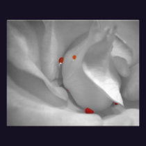 Aeolian Watercolor Photo Print