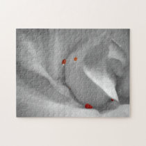Aeolian Watercolor Puzzle