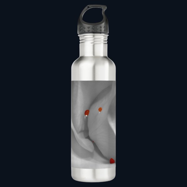Aeolian Watercolor Stainless Steel Water Bottle