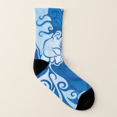 Aeolus Socks