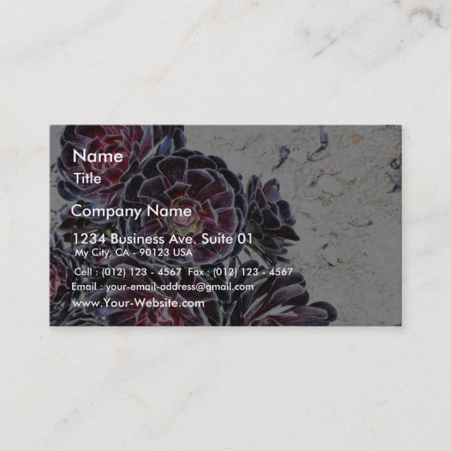 Aeonium Flower On Dry Rocks Business Card (Front)