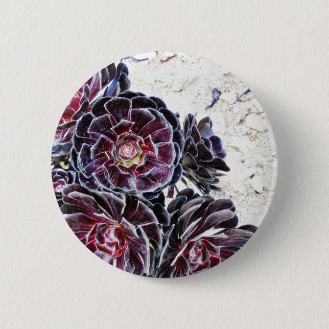 Aeonium Flower On Dry Rocks Button (Front)