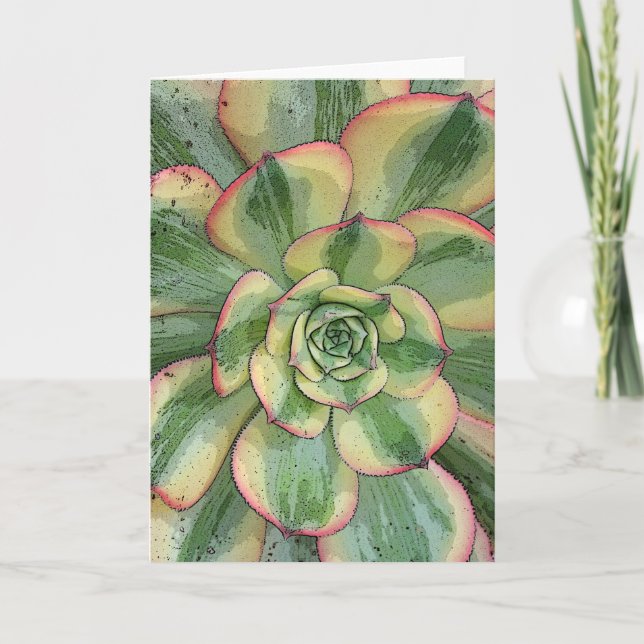 Aeonium 'Sunburst' notecard (Front)