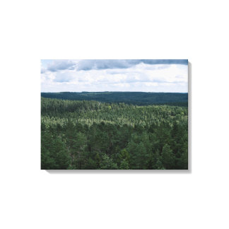 Aerial Forest And Clouds Nature Landscape Photo Canvas Print