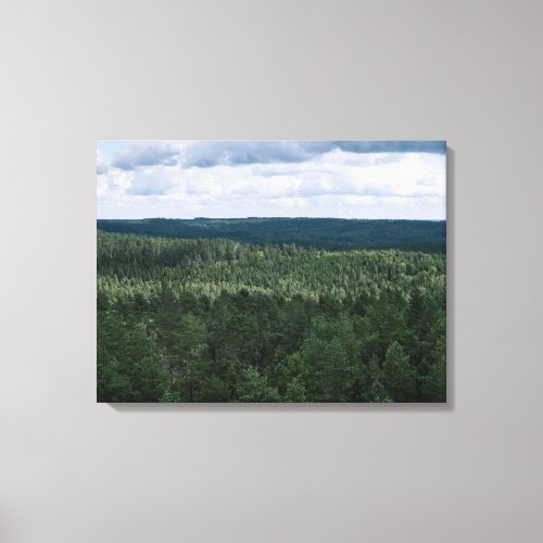 Aerial Forest And Clouds Nature Landscape Photo Canvas Print