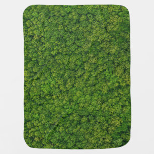 Aerial forest view, top view, copy space. baby blanket