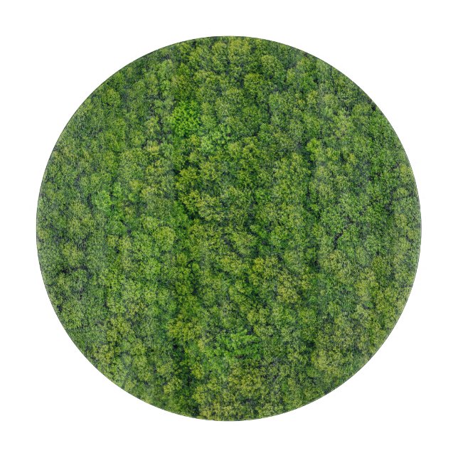 Aerial forest view, top view, copy space. cutting board (Front)