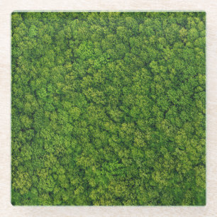 Aerial forest view, top view, copy space. glass coaster