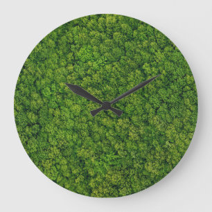 Aerial forest view, top view, copy space. large clock