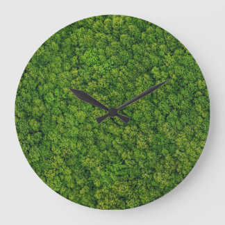 Aerial forest view, top view, copy space. large clock