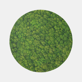 Aerial forest view, top view, copy space. rug