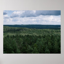Aerial Green Nordic Forest Landscape Photography