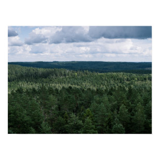 Aerial Green Nordic Forest Landscape Photography Poster