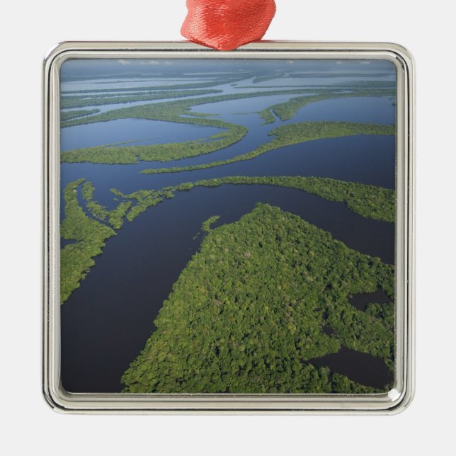 Aerial of Anavilhanas Archipelago, Flooded Metal Ornament (Front)